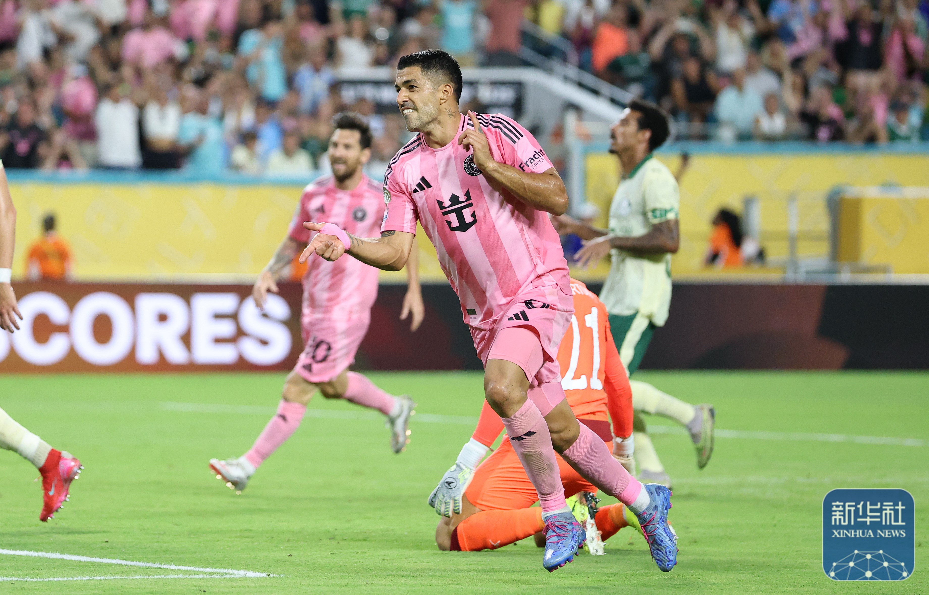 帕尔梅拉斯备战世俱杯半决赛，曼联状态成关键的简单介绍