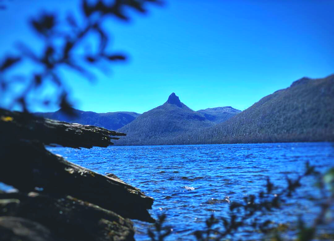 塔斯马尼亚联赛前发布会：全队信心满满迎战卡尔蒂斯