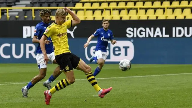 关于欧洲篮球职业联赛开启新一轮较量的信息