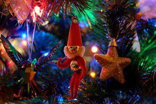 华体会在线-布宜诺斯艾利斯独立主场气氛火爆，球迷助威成强大后盾