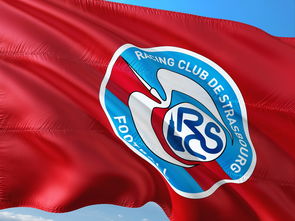 华体会网页版-帕尔梅拉斯调整进攻阵容，应对强力防守